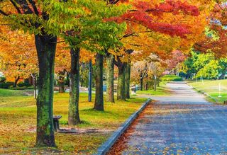 秋日园林风景图片