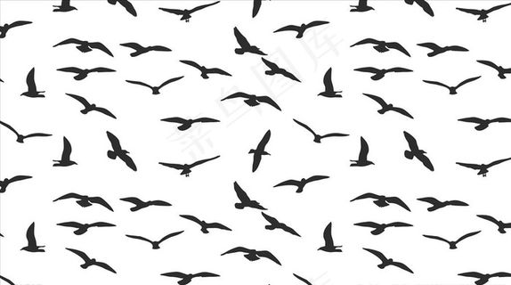 飞鸟剪影图片