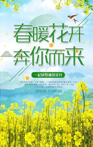 踏春 油菜花图片