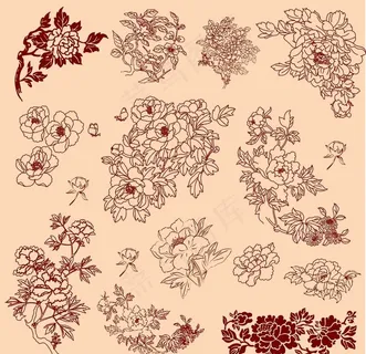 线条牡丹矢量素材图片