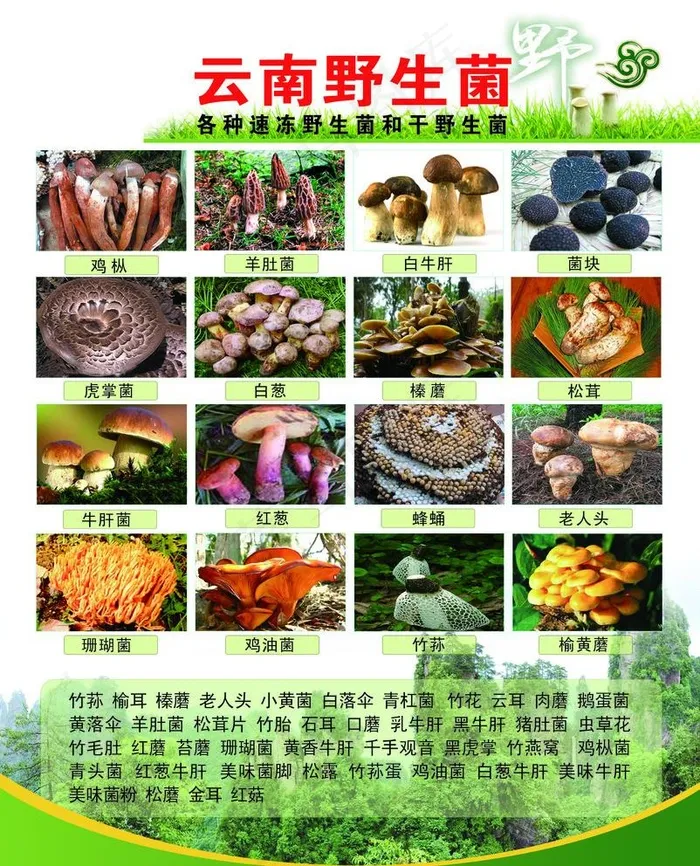 野生菌图片(3189X4074(DPI:300))psd模版下载
