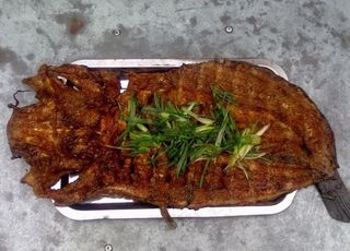 烤鲶鱼图片