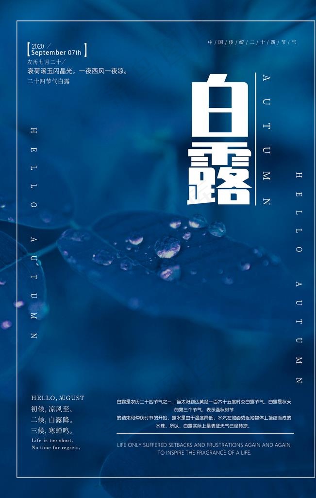 白露海报图片(4724X7087(DPI:300))psd模版下载