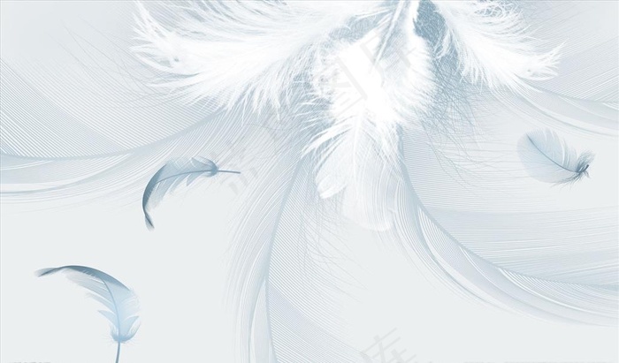 羽毛 背景墙图片