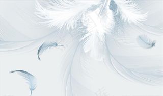 羽毛 背景墙图片