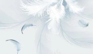 羽毛 背景墙图片