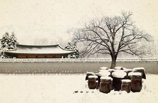 工笔画雪景图片