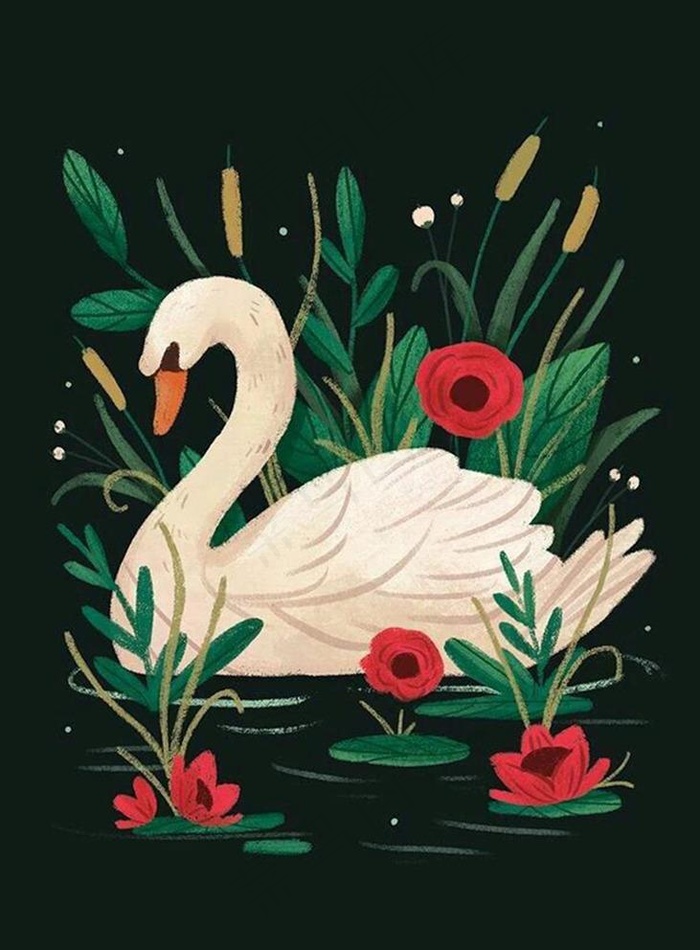 插画图片