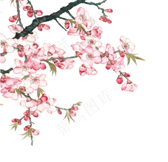 桃花图片psd模版下载