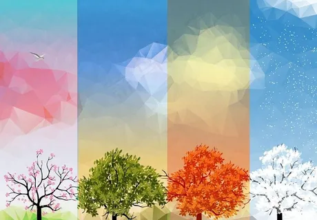 春夏秋冬四季 大树 树图片