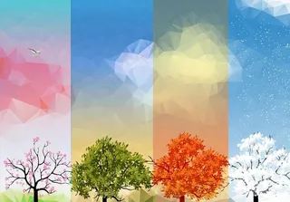 春夏秋冬四季 大树 树图片