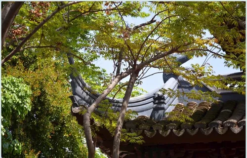 园博园图片 园博园图片