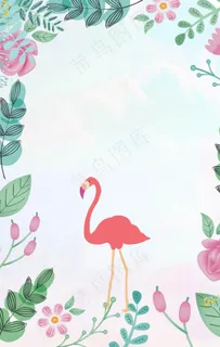 火烈鸟背景图片