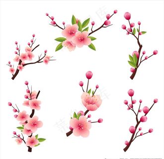 卡通桃花矢量桃花插画桃树枝图片
