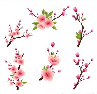 卡通桃花矢量桃花插画桃树枝图片