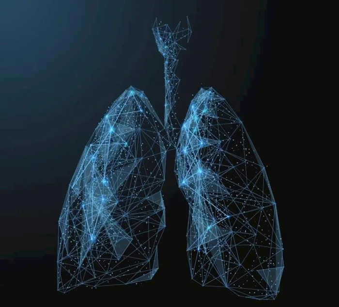 科技线条肺部轮廓矢量素材图片eps,ai矢量模版下载