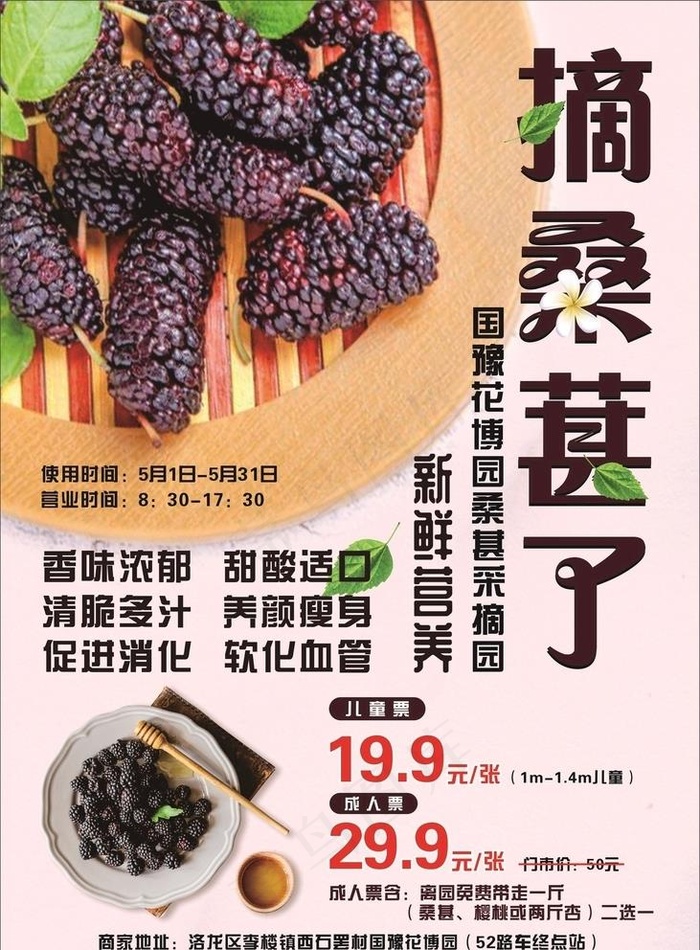 采摘园 桑葚图片(210X297)cdr矢量模版下载