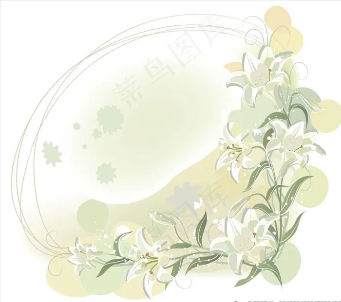 矢量百合花图片eps,ai矢量模版下载