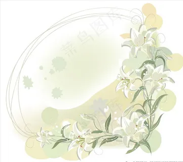 矢量百合花图片
