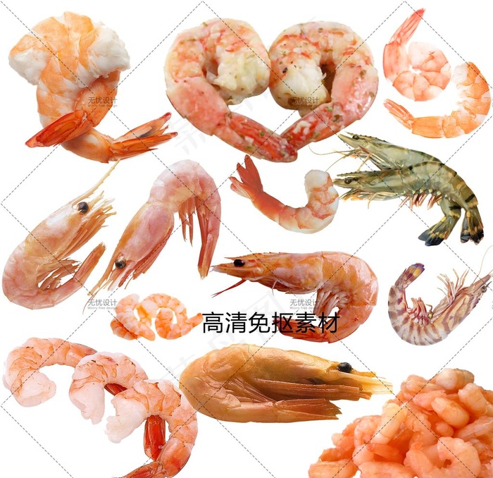 虾仁图片(3000X3000(DPI:300))psd模版下载