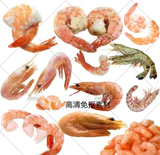 虾仁图片