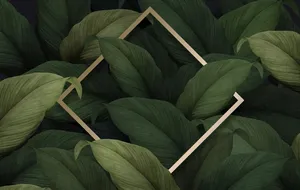 绿叶背景图片