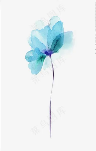 水彩植物鲜花图片