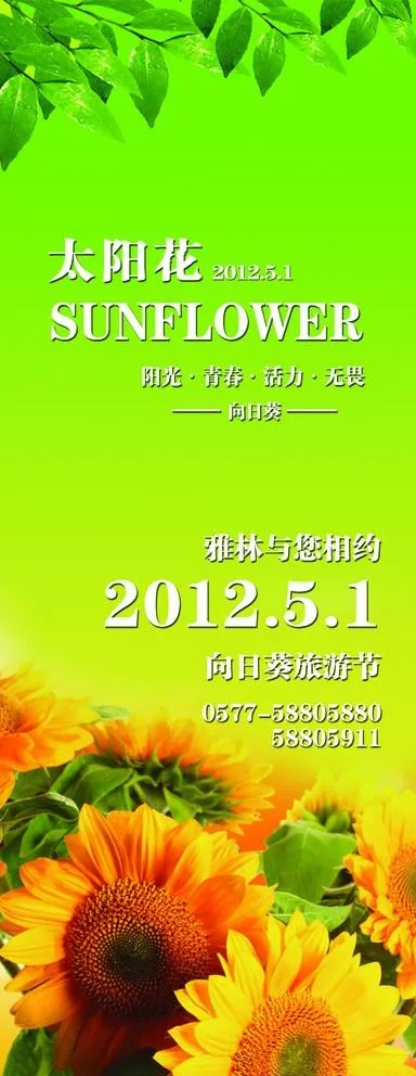 向日葵展架图片(1890X5039(DPI:80))psd模版下载