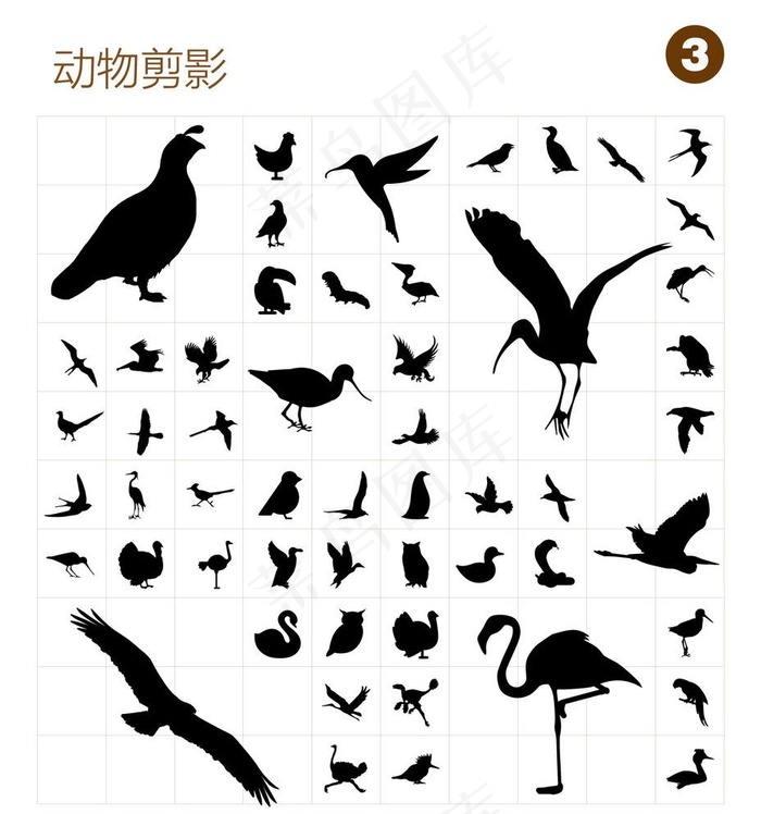 鸟类矢量剪影图片ai矢量模版下载
