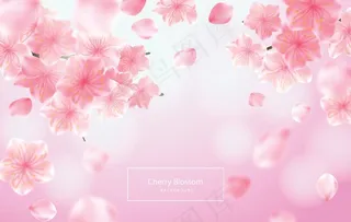 樱花背景图片