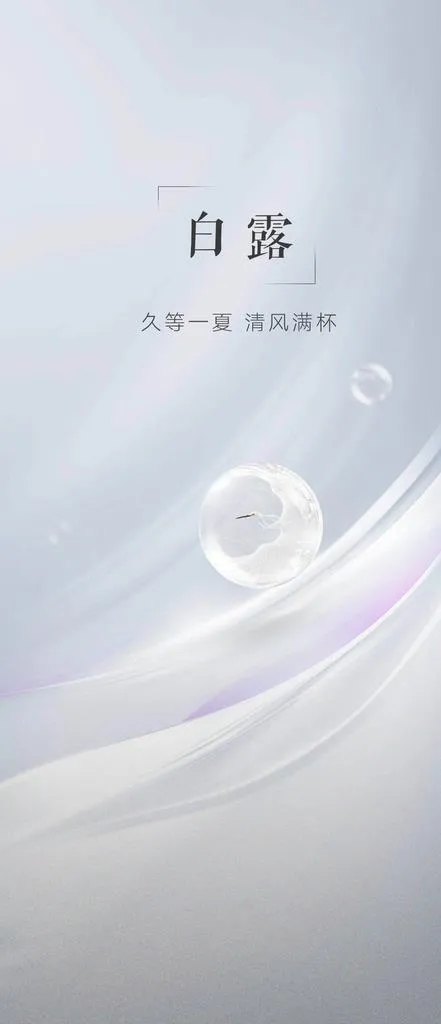 白露图片(1080X2340(DPI:72))psd模版下载