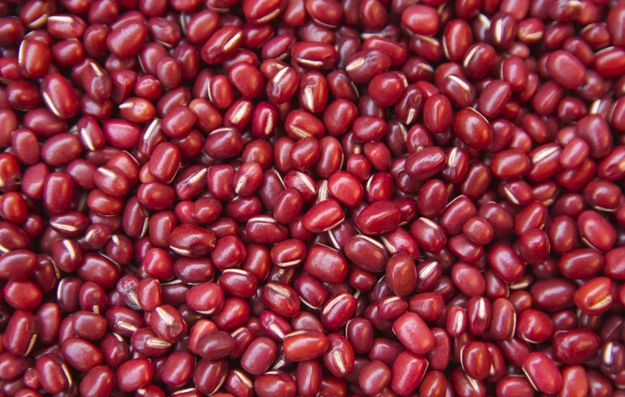 红豆图片