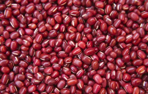 红豆图片