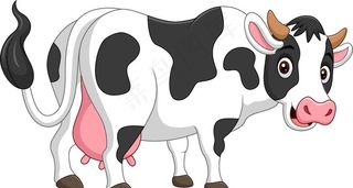 奶牛图片