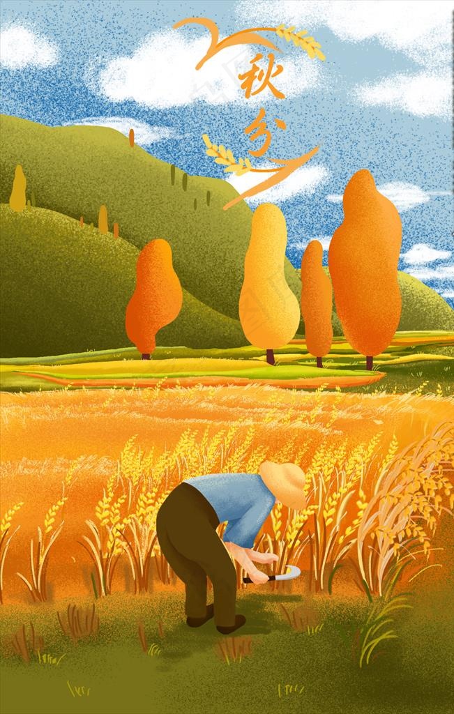 传统秋分丰收插画图片