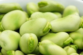青蚕豆图片