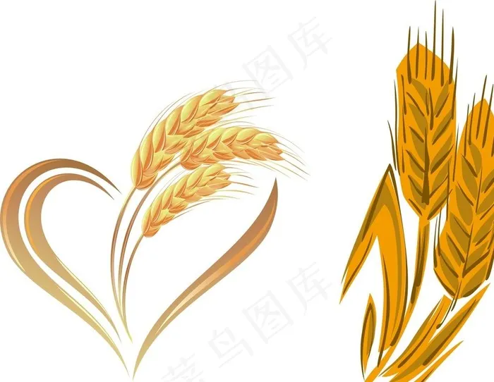 麦子 麦穗图片cdr矢量模版下载