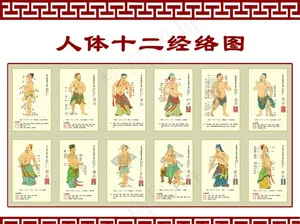 十二经络图图片