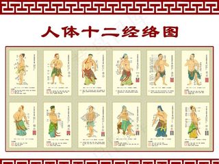 十二经络图图片
