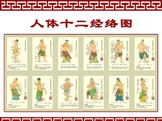 十二经络图图片