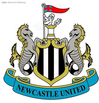 英超纽卡斯尔队标志图片