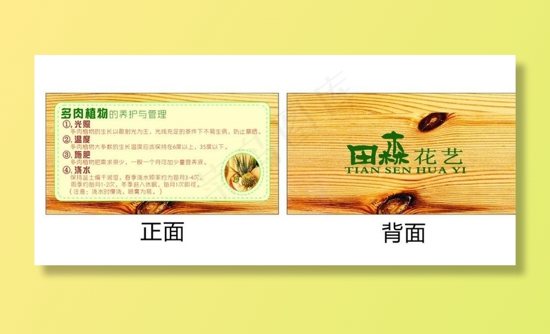 花艺多肉养护卡图片