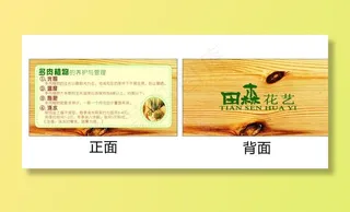 花艺多肉养护卡图片