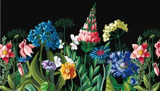 花卉花朵矢量图图片