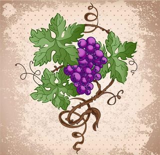 葡萄水果图片