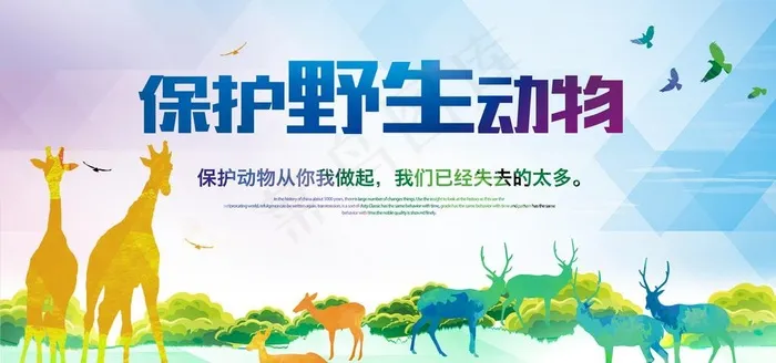 保护野生动物图片(3937X1969(DPI:200))psd模版下载
