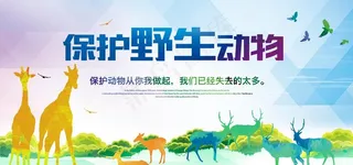 保护野生动物图片