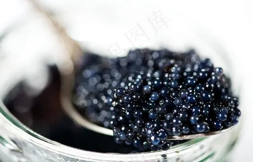 鱼子酱图片 鱼子酱图片