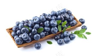 蓝莓图片