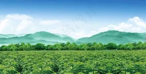 桑园图片